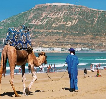 Discover Agadir City Tour